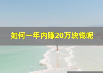 如何一年内赚20万块钱呢