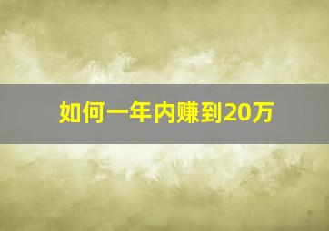 如何一年内赚到20万