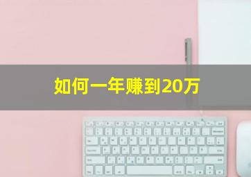 如何一年赚到20万