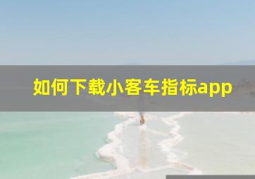 如何下载小客车指标app