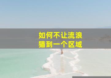 如何不让流浪猫到一个区域