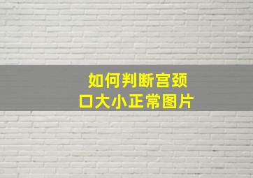 如何判断宫颈口大小正常图片