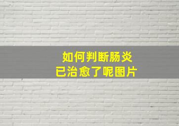 如何判断肠炎已治愈了呢图片