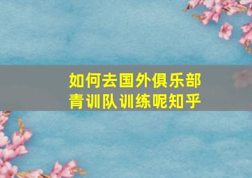 如何去国外俱乐部青训队训练呢知乎