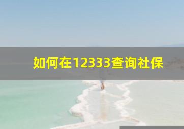 如何在12333查询社保