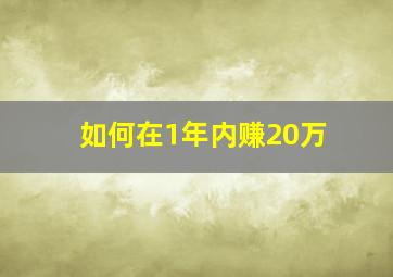 如何在1年内赚20万