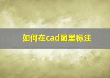 如何在cad图里标注