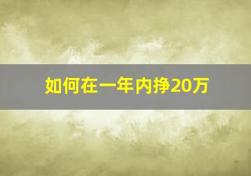 如何在一年内挣20万