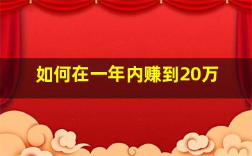 如何在一年内赚到20万