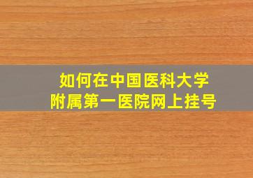 如何在中国医科大学附属第一医院网上挂号