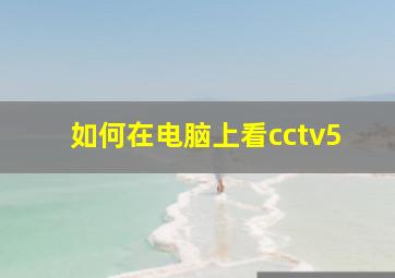 如何在电脑上看cctv5