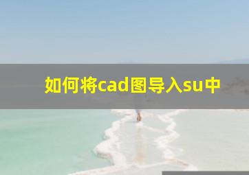 如何将cad图导入su中