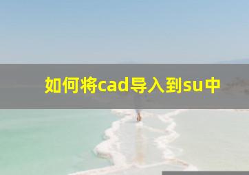 如何将cad导入到su中