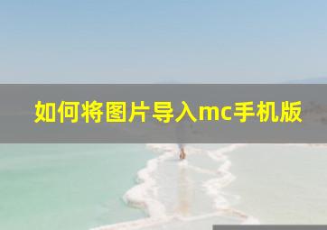 如何将图片导入mc手机版