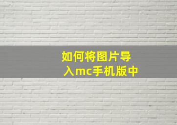 如何将图片导入mc手机版中