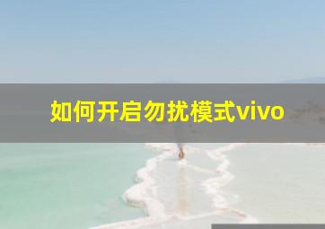 如何开启勿扰模式vivo