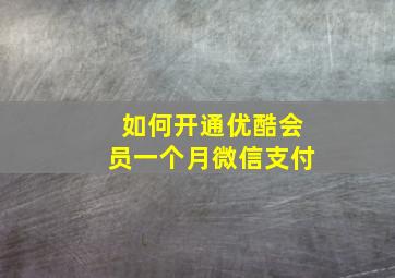 如何开通优酷会员一个月微信支付