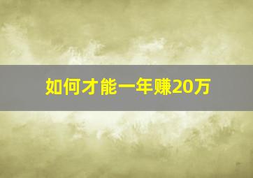 如何才能一年赚20万