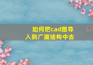 如何把cad图导入到广厦结构中去