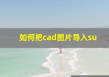 如何把cad图片导入su