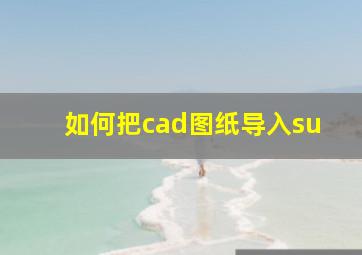 如何把cad图纸导入su