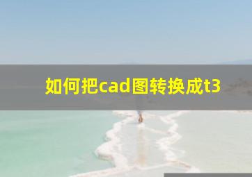 如何把cad图转换成t3