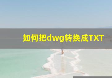 如何把dwg转换成TXT