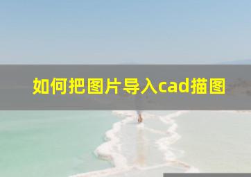 如何把图片导入cad描图