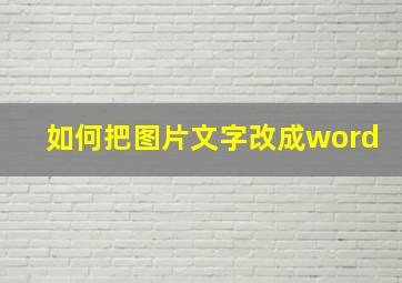 如何把图片文字改成word