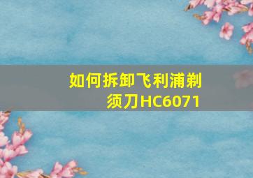 如何拆卸飞利浦剃须刀HC6071