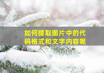 如何提取图片中的代码格式和文字内容呢