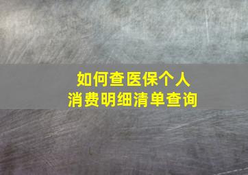 如何查医保个人消费明细清单查询