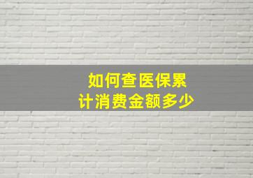 如何查医保累计消费金额多少