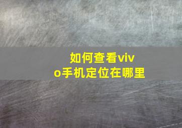 如何查看vivo手机定位在哪里