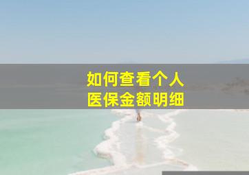 如何查看个人医保金额明细