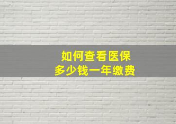 如何查看医保多少钱一年缴费