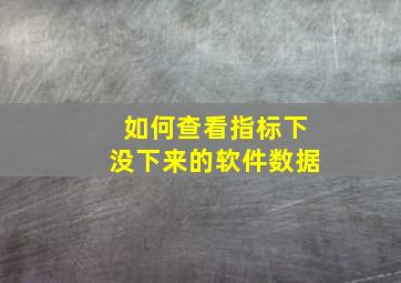 如何查看指标下没下来的软件数据