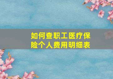 如何查职工医疗保险个人费用明细表