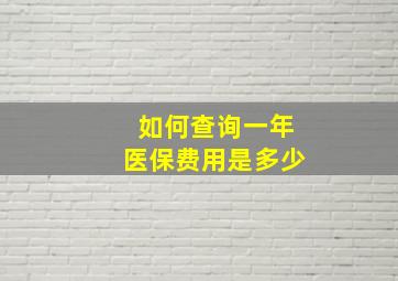 如何查询一年医保费用是多少