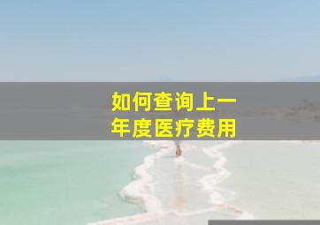 如何查询上一年度医疗费用