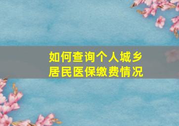 如何查询个人城乡居民医保缴费情况