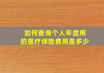 如何查询个人年度用的医疗保险费用是多少