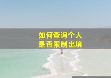 如何查询个人是否限制出境