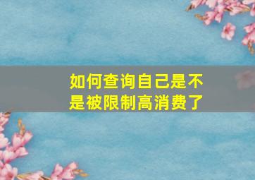 如何查询自己是不是被限制高消费了