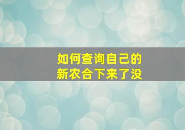 如何查询自己的新农合下来了没