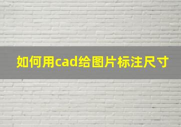 如何用cad给图片标注尺寸