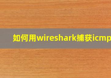 如何用wireshark捕获icmp包