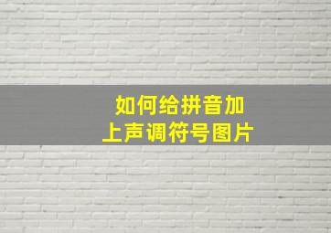 如何给拼音加上声调符号图片