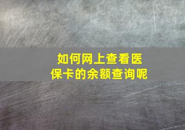 如何网上查看医保卡的余额查询呢