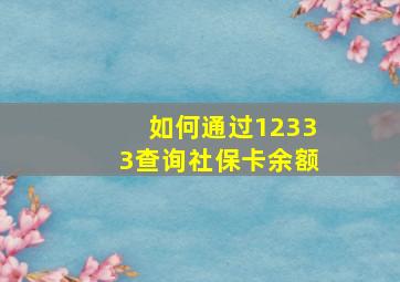 如何通过12333查询社保卡余额